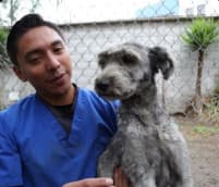 Imagen ilustrativa de samuel