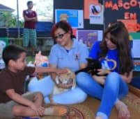 Imagen ilustrativa de samuel