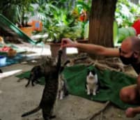 Imagen ilustrativa de samuel